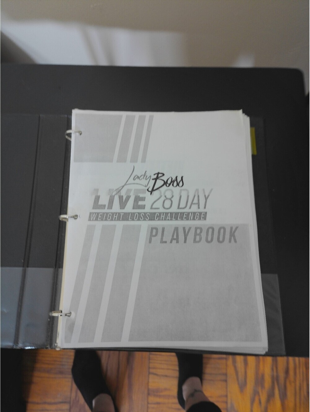 Lady Boss Print 28 Day Weight Loss Challenge & 14 Day Detox Program Playbook Lot